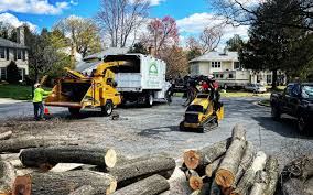 Best Firewood Processing and Delivery  in Grapevine, TX