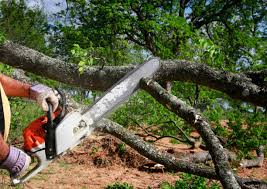 Best Lot and Land Clearing  in Grapevine, TX